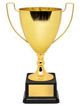 Кубок престижный - KM2978